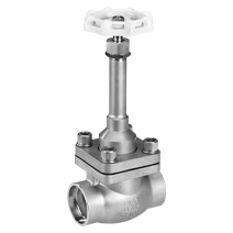 Cryogenic Valve